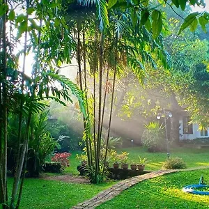 Mango House Japanese Gasthof Negombo